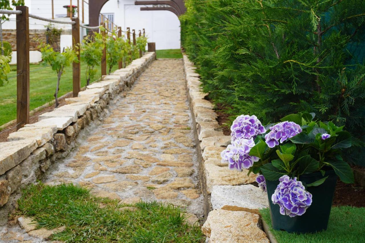 Casa Do Ze - Al Bed & Breakfast Soito  Ngoại thất bức ảnh
